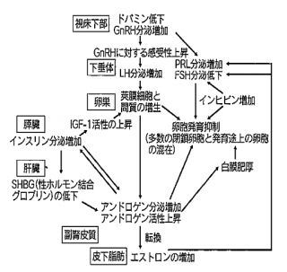 糖尿病用薬のメトホルミンを多嚢胞性卵巣症候群に使用するか 一般 公益社団法人 福岡県薬剤師会 質疑応答